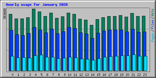Hourly usage for January 2026