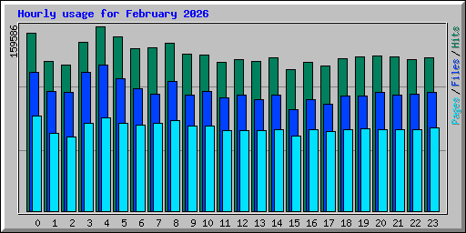 Hourly usage for February 2026
