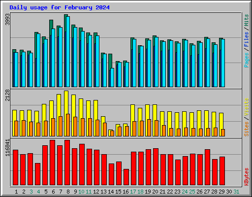 Daily usage for February 2024