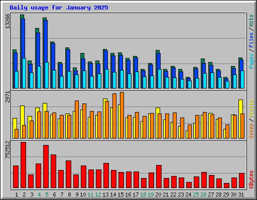 Daily usage for January 2025