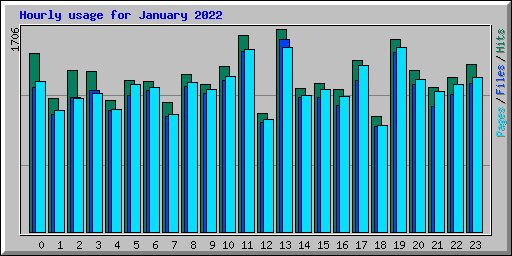 Hourly usage for January 2022