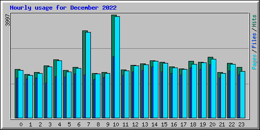 Hourly usage for December 2022