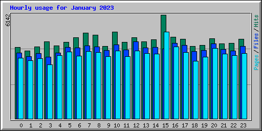 Hourly usage for January 2023
