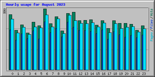Hourly usage for August 2023