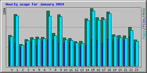 Hourly usage for January 2024