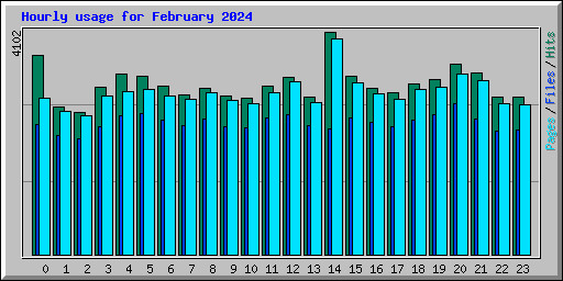 Hourly usage for February 2024
