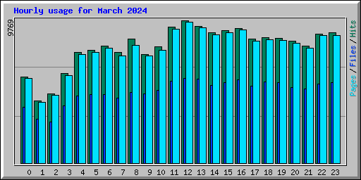 Hourly usage for March 2024