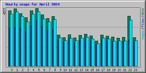Hourly usage for April 2024