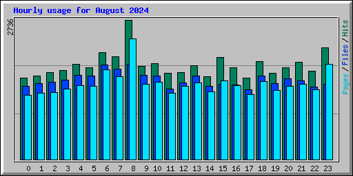 Hourly usage for August 2024