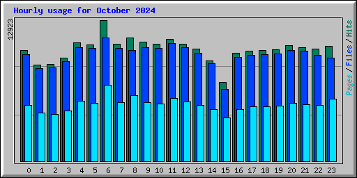 Hourly usage for October 2024