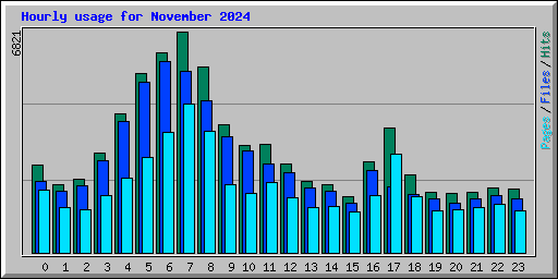 Hourly usage for November 2024