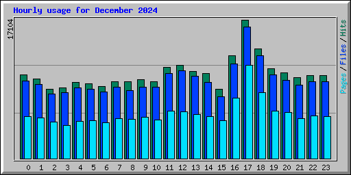 Hourly usage for December 2024