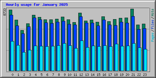 Hourly usage for January 2025