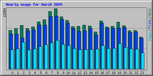 Hourly usage for March 2025