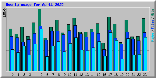 Hourly usage for April 2025