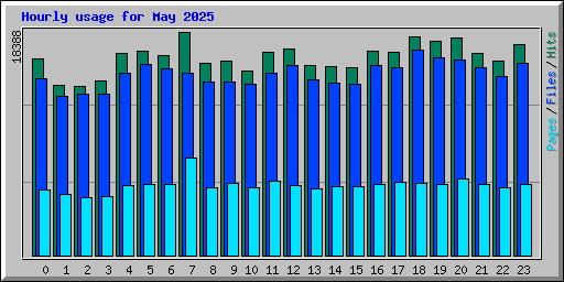Hourly usage for May 2025