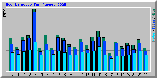 Hourly usage for August 2025