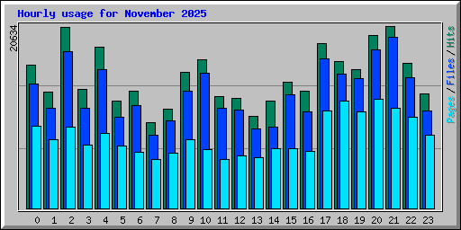 Hourly usage for November 2025