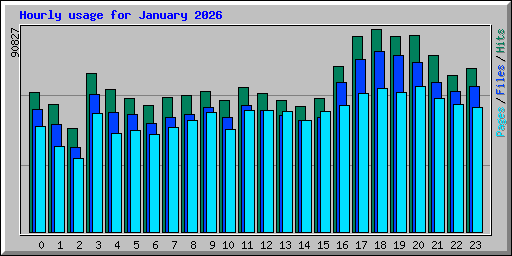 Hourly usage for January 2026