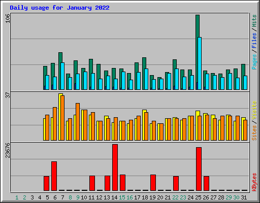 Daily usage for January 2022