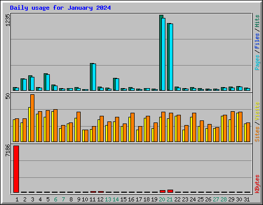 Daily usage for January 2024