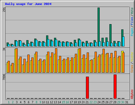 Daily usage for June 2024