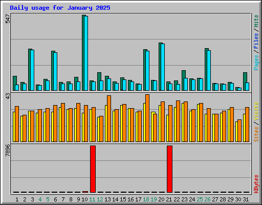 Daily usage for January 2025