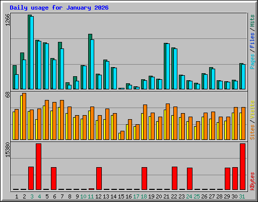 Daily usage for January 2026