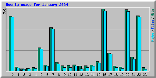 Hourly usage for January 2024