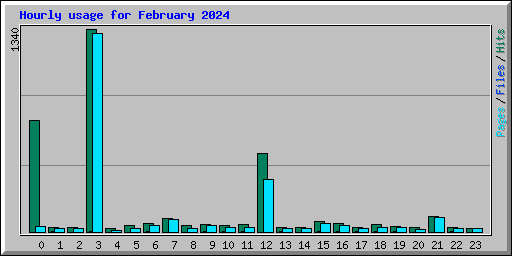 Hourly usage for February 2024