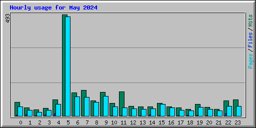 Hourly usage for May 2024