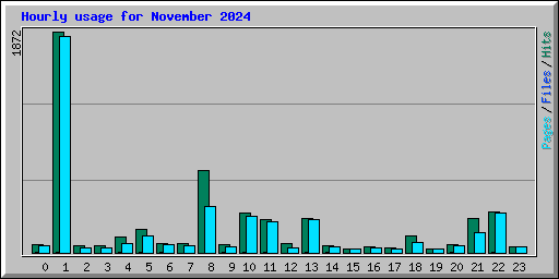 Hourly usage for November 2024