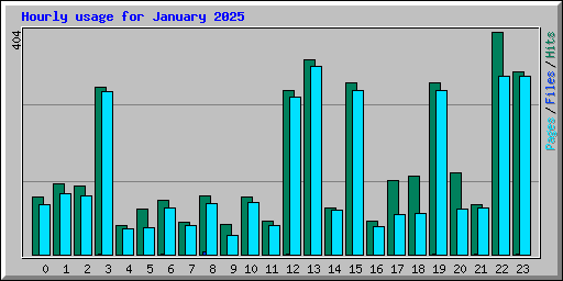 Hourly usage for January 2025