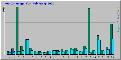 Hourly usage for February 2025