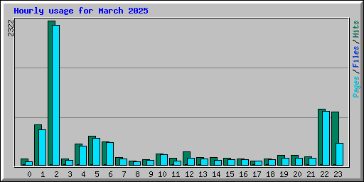 Hourly usage for March 2025