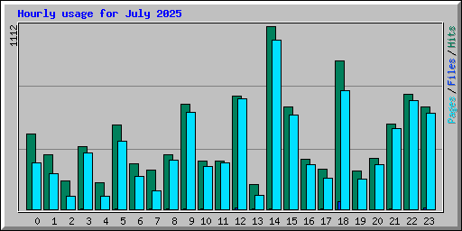 Hourly usage for July 2025
