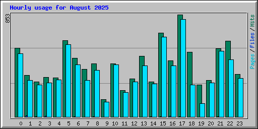 Hourly usage for August 2025