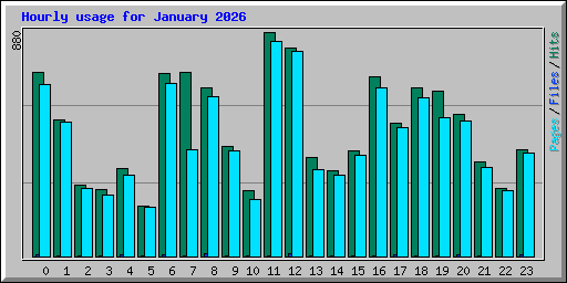 Hourly usage for January 2026