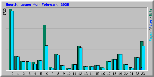 Hourly usage for February 2026