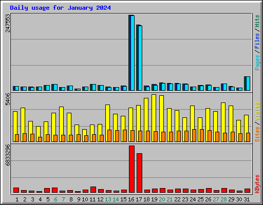 Daily usage for January 2024