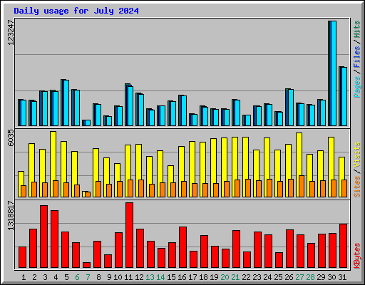 Daily usage for July 2024