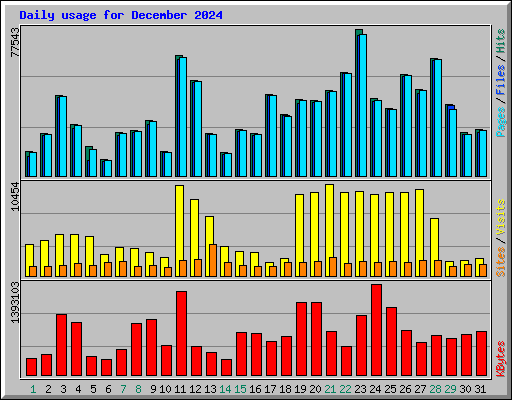 Daily usage for December 2024