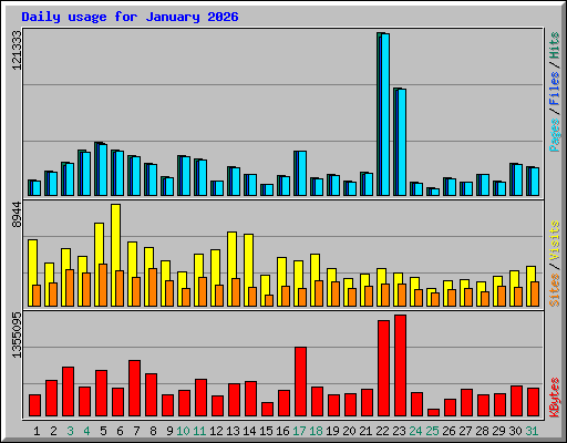 Daily usage for January 2026