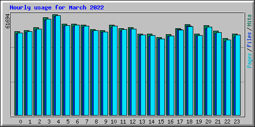 Hourly usage for March 2022