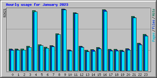 Hourly usage for January 2023