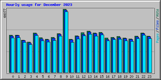 Hourly usage for December 2023