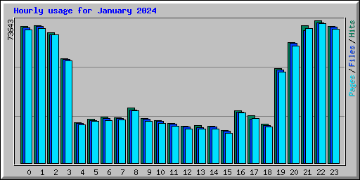 Hourly usage for January 2024