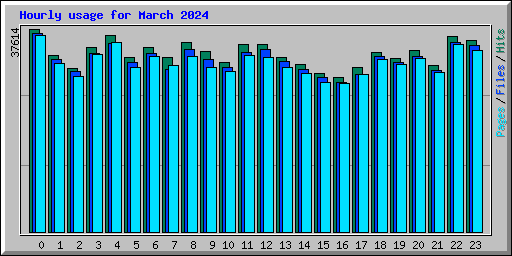 Hourly usage for March 2024