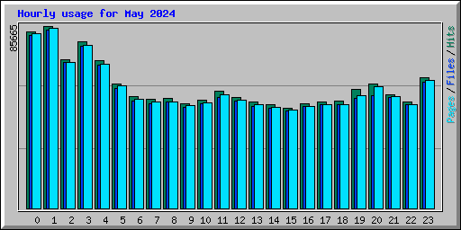 Hourly usage for May 2024