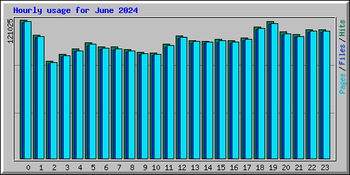 Hourly usage for June 2024